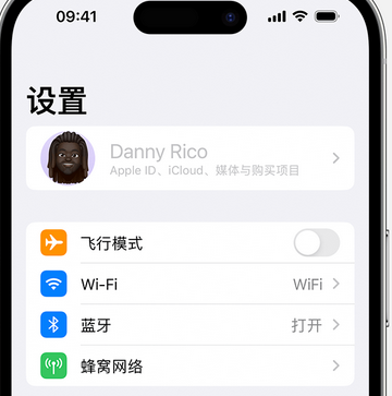 贵定appleID维修服务iPhone设置中Apple ID显示为灰色无法使用 