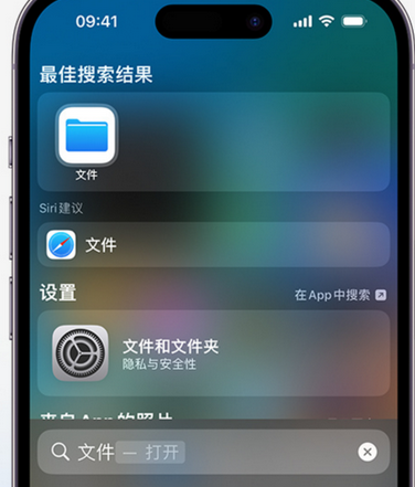 贵定apple维修中心分享iPhone文件应用中存储和找到下载文件 