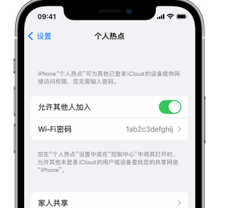 贵定apple服务站点分享iPhone上个人热点丢失了怎么办 