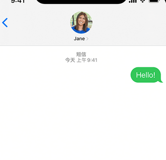 贵定apple维修iPhone上无法正常发送iMessage信息