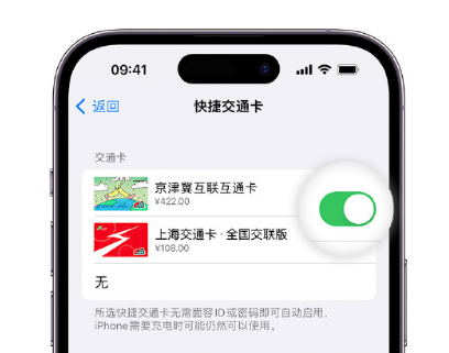 贵定apple维修点分享iPhone上更换Apple Pay快捷交通卡手绘卡面 