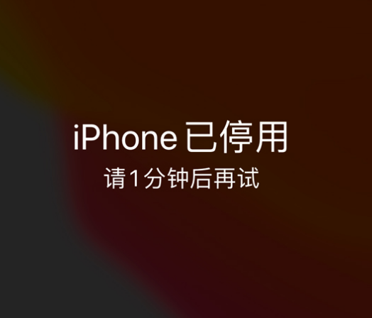 贵定苹果手机维修分享:iPhone 显示“不可用”或“已停用”怎么办？还能保留数据吗？ 