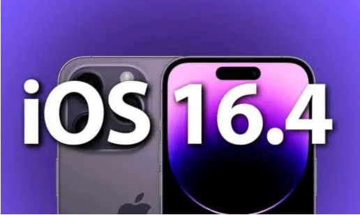 贵定苹果14维修分享：iPhone14可以升级iOS16.4beta2吗？ 