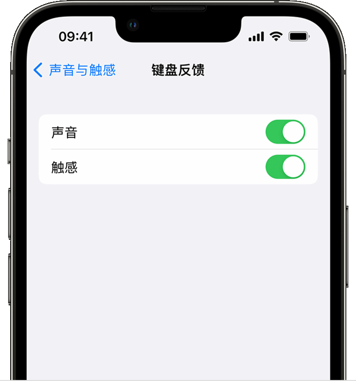 贵定苹果14维修店分享如何在 iPhone 14 机型中使用触感键盘 