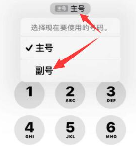 贵定苹果14维修店分享iPhone 14 Pro Max使用副卡打电话的方法 