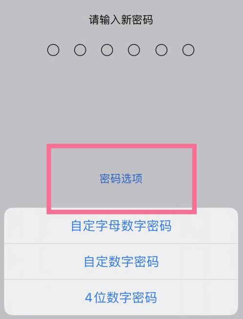 贵定苹果14维修分享iPhone 14plus设置密码的方法 