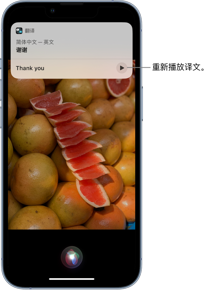 贵定苹果14维修分享 iPhone 14 机型中使用 Siri：了解 Siri 能帮你做什么 