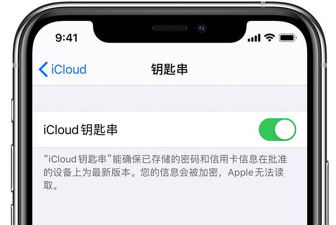 贵定苹果手机维修分享在 iPhone 上开启 iCloud 钥匙串之后会储存哪些信息 