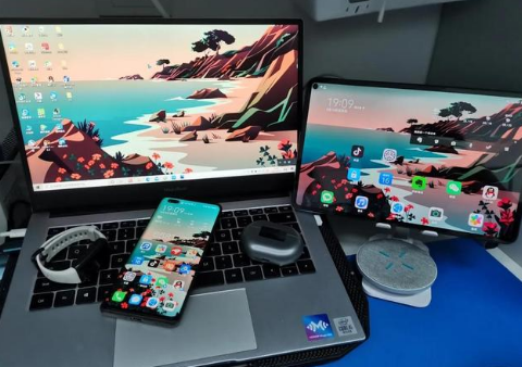 贵定苹果手机维修分享为什么iPad屏幕更大价格却比iPhone低 