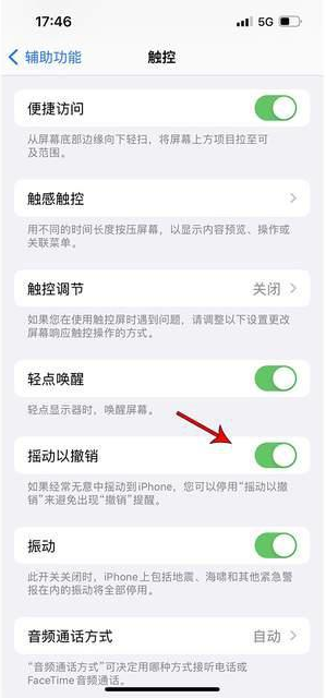 贵定苹果手机维修分享iPhone手机如何设置摇一摇删除文字 